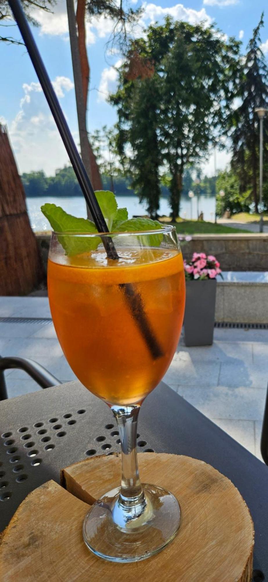 Papaver Hotel Ślesin Eksteriør billede